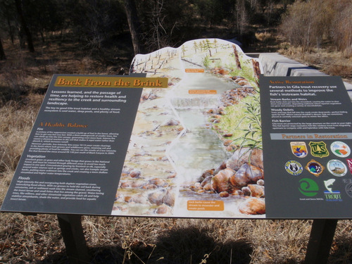 This area has a not so common Golden Trout (Gila Trout).